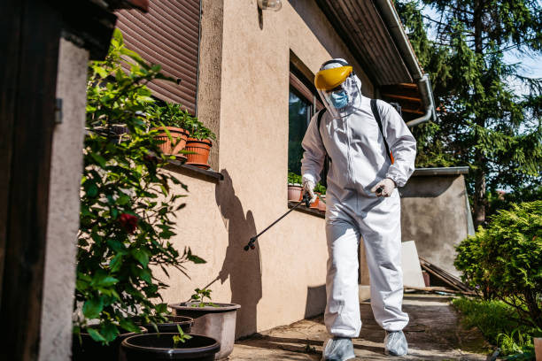 Best Termite Control Services  in Monroeville, IN