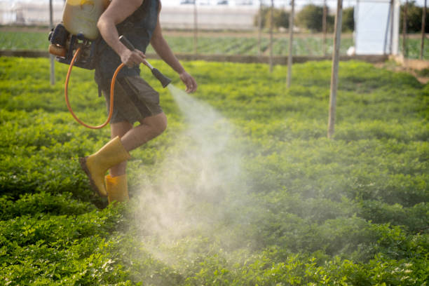 Best Pest Removal Services  in Monroeville, IN