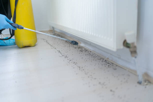Best Pest Inspection Near Me  in Monroeville, IN