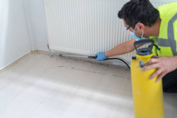 Best Wasp Removal Services  in Monroeville, IN
