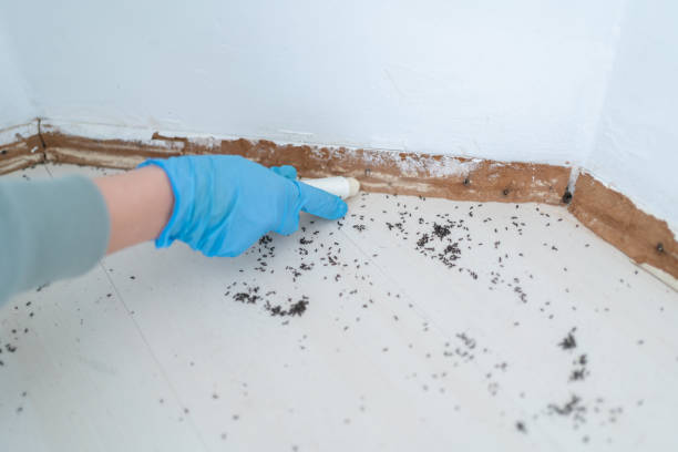 Best Exterminator Services  in Monroeville, IN