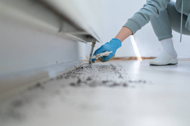 Best Best Pest Control Companies  in Monroeville, IN
